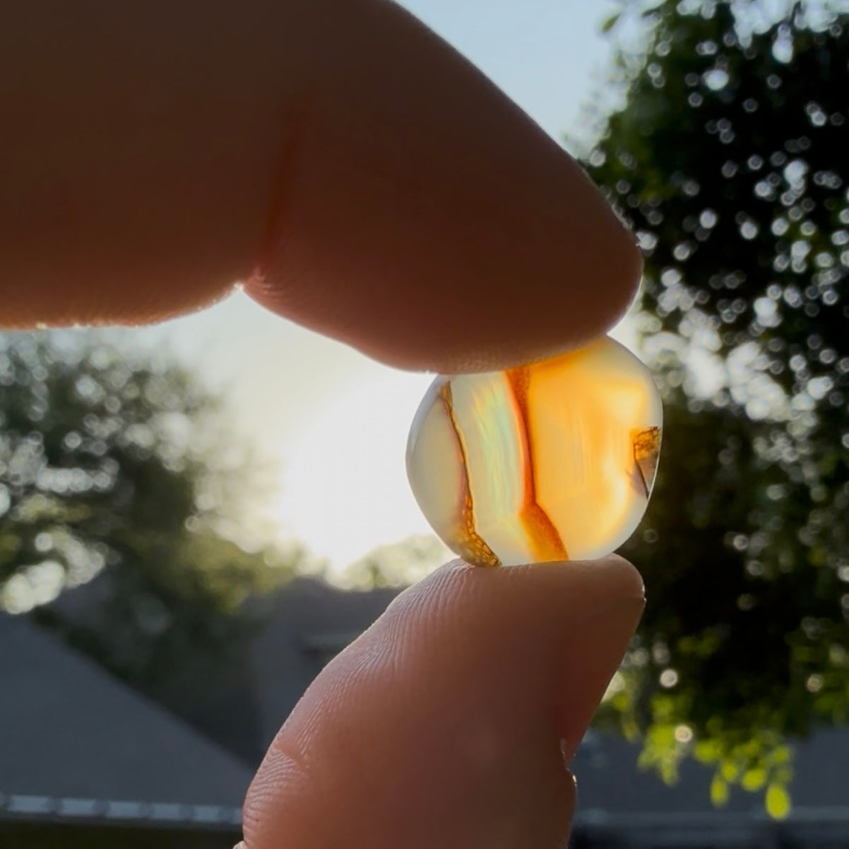 Rainbow Iris Montana Agate Earrings
