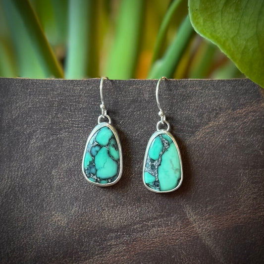 Variscite Earrings