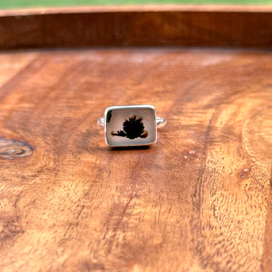 Montana Agate Ring (Size 6.5)